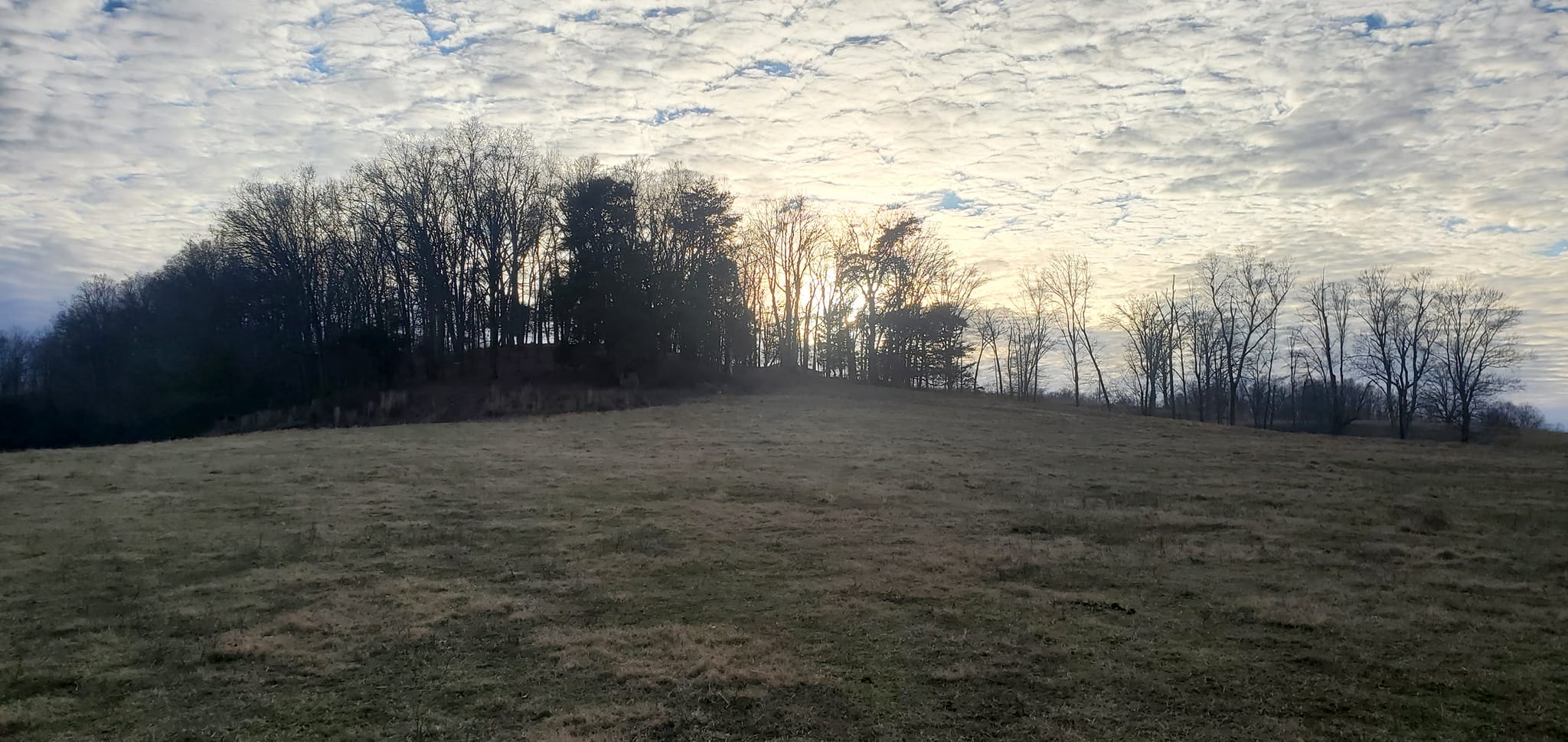 Backwoods hiking trail through the forest